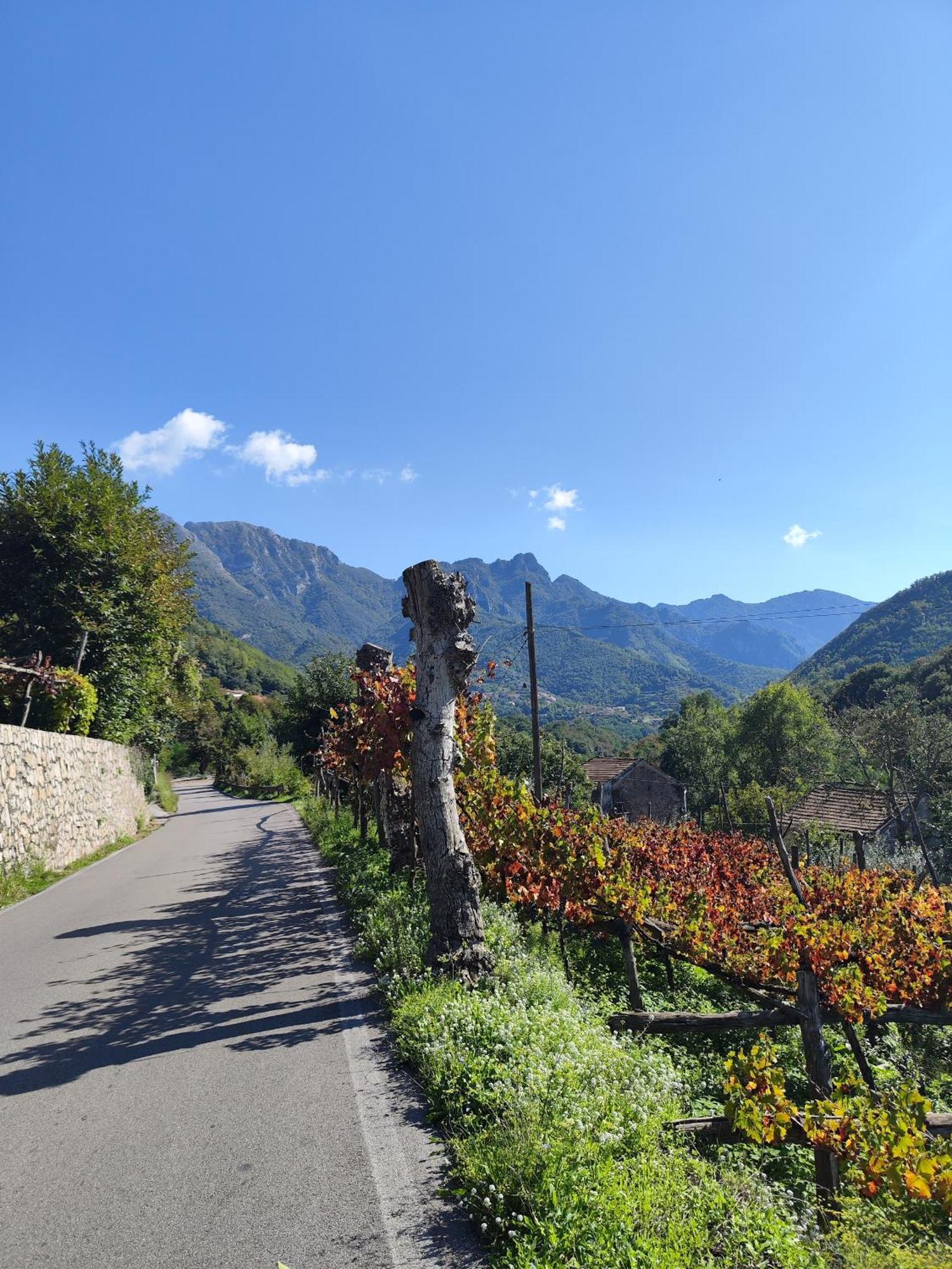 Vila Il Vigneto Tramonti Exteriér fotografie